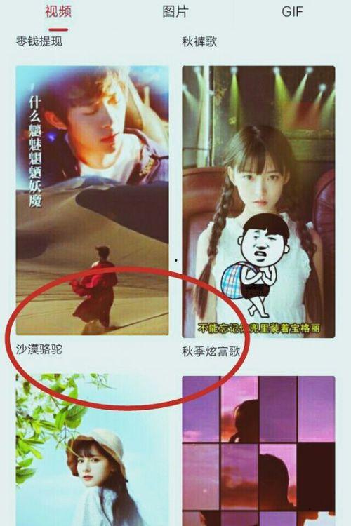 怎么爆料自己拍的视频,如何巧妙爆料你的原创视频内容 第3张 怎么爆料自己拍的视频,如何巧妙爆料你的原创视频内容 第3张